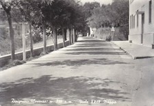 A6161) DIPIGNANO VIALE XXIV