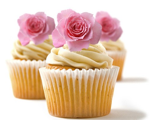 Topper per torta tazza - 24,