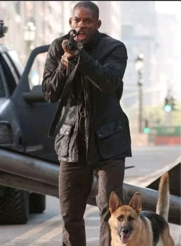 Belstaff trialmaster legend - belstaff,