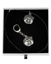 Akita Giapponese - Set - Il