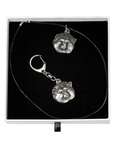 Akita giapponese set il - set,