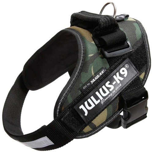 Julius pettorina idc power - julius,