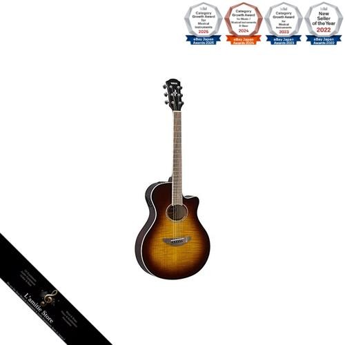 Chitarra acustica elettrica