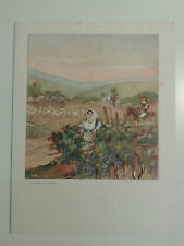 PORTA MENU' VENDEMMIA SARDEGNA LLOYD TRIESTE ITALIA TIRRENIA ADRIATICA