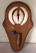 Bellissimi Trofeo Denti di