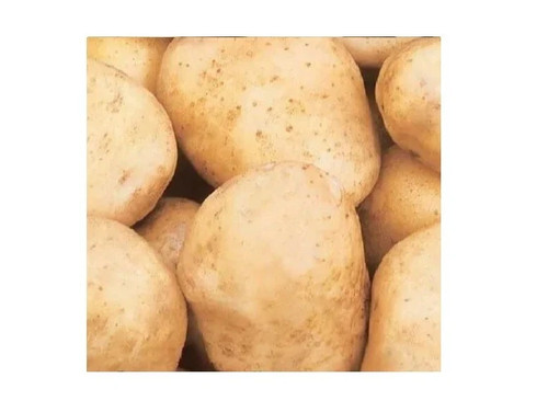 Potato velina g organic - g,