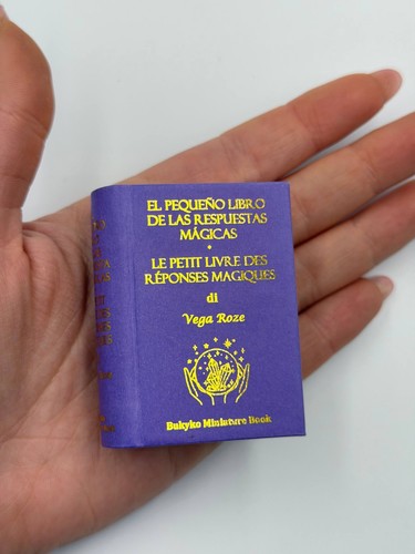 Miniatura piccolo libro - il,