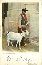 c1904 Postcard 27. Maltese