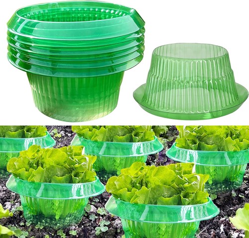 Collari anti lumache anelli - collari,