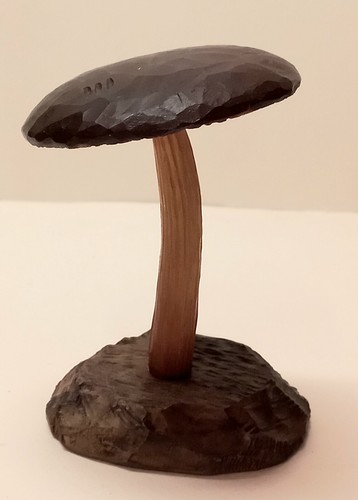 Fungo botanico legno - fungo,