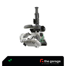 PIANTONE STERZO (EPS) PANDA