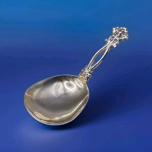 Cucchiaio caddy argento - in,
