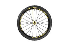 Ruota posteriore mountain bike