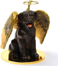 Labrador Retriever Chocolate