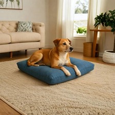 Cuscino per Cani Terranova