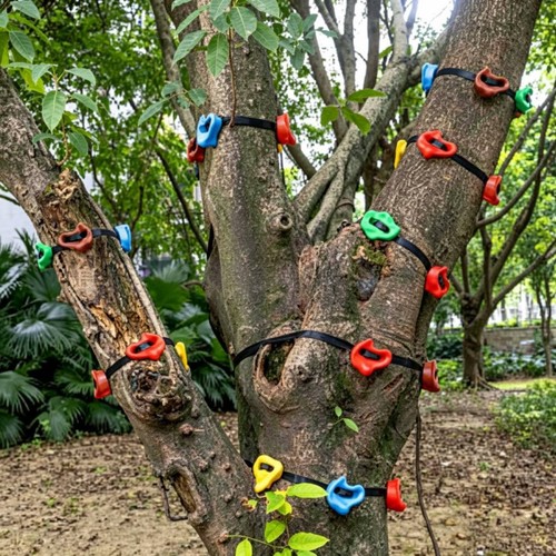Pezzi prese arrampicata - pezzi,