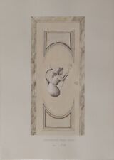 DISEGNO A MATITA E ACQUARELLO SU CARTA, ACQUARELLATO PROGETTO PORTA CM 29,5X20,9