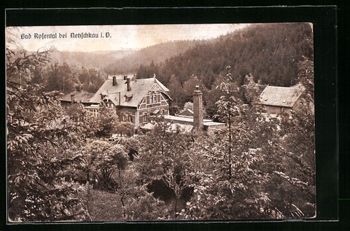 Cartolina netzschkau v - netzschkau,