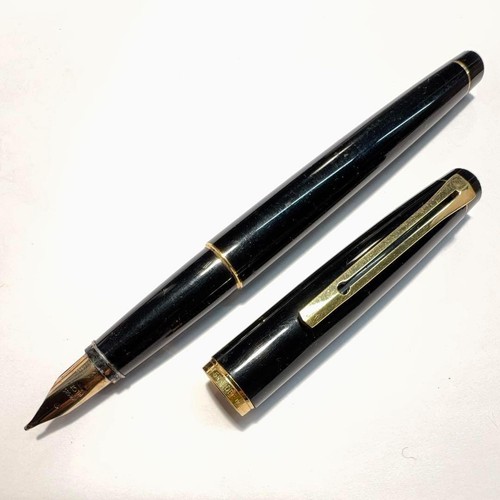 Penna stilografica pilot - stilografica,