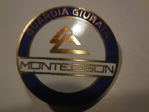 Distintivo guardia giurata - distintivo,