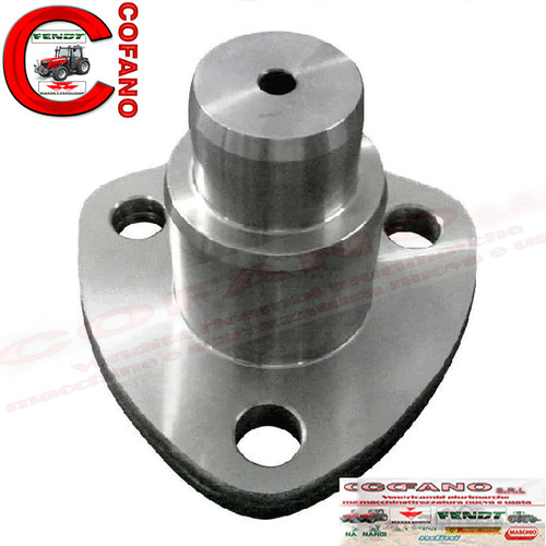 Perno fuso snodo - fuso,