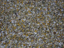 CAMOMILLA FIORI ( Sicilia che