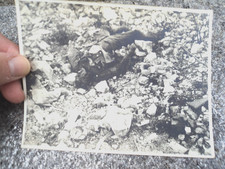 ww1 regio esercito grande guerra prima guerra mondiale fronte truppa uniformi