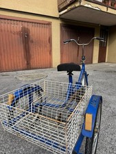 Bicicletta Graziella a Tre Ruote