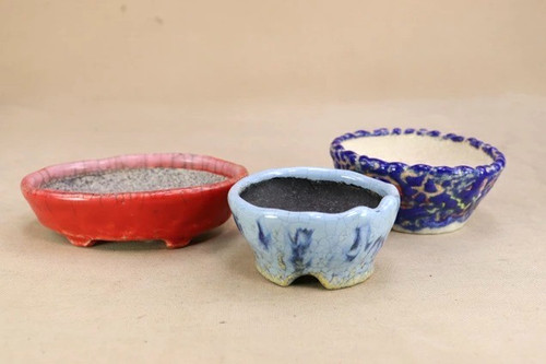 Vaso per bonsai - , giapponese