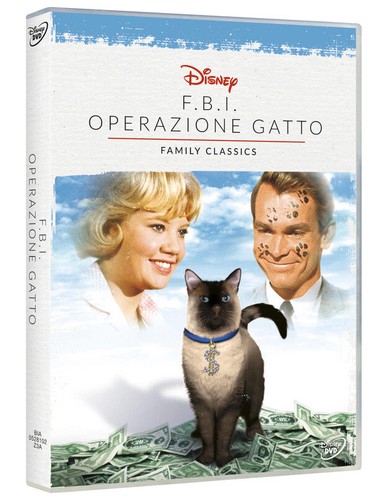 Operazione gatto - gatto, (dvd)