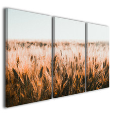 Quadri moderni Val d'Orcia V