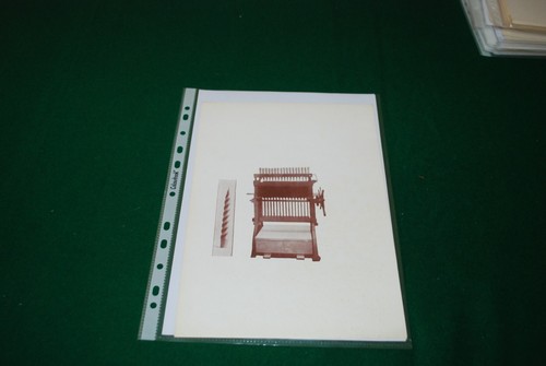 Ditta francesco narrante - francesco,
