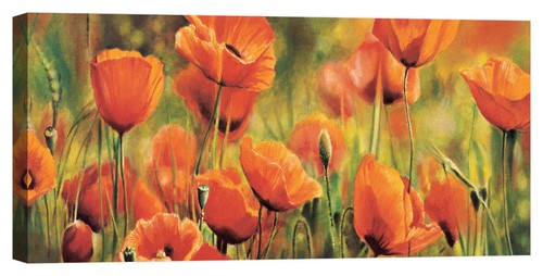 Quadro moderno fiori - , floreale