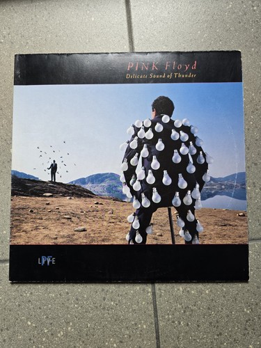 Pink floyd delicate sound - –,