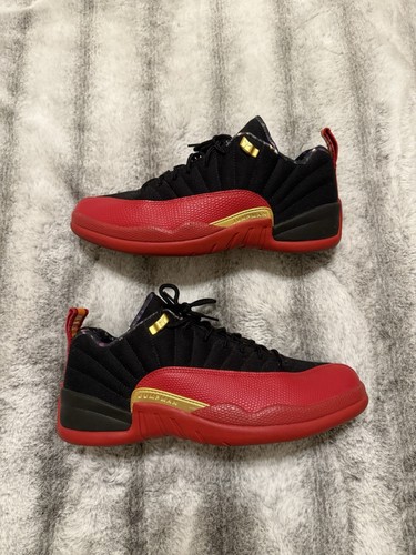 Air jordan retro - 12,