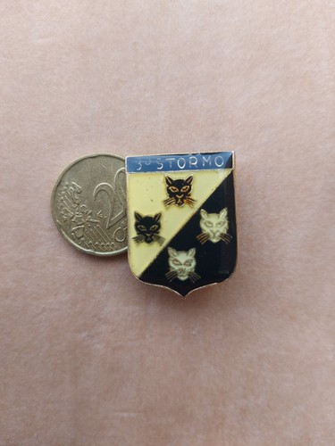 Distintivo spilla stormo - distintivo,