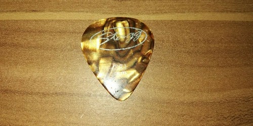Stagg plectrum oro - stagg, oro-marrone