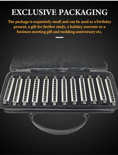 Easttop armonica diatonica set - easttop,