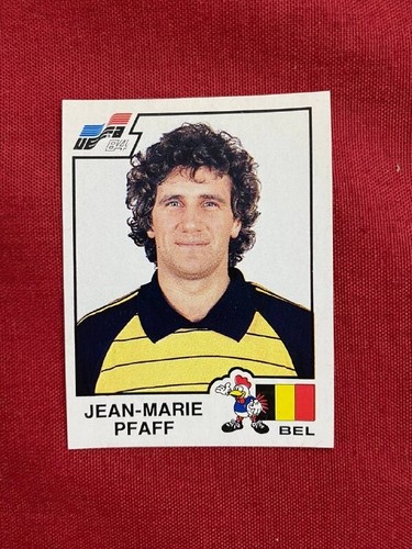 Figurina panini euro - figurina, 84