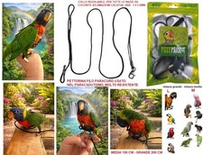 Pettorina uccelli imbracatura - pettorina,