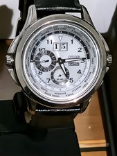Citizen Eco-Drive Twin Crown Perpetual Calendar GMT ref. BT0050-09A cal. 3150