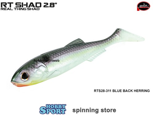 Molix shad colore - 2,8",