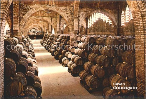 Cantina vino cavas codorniu - cavas,