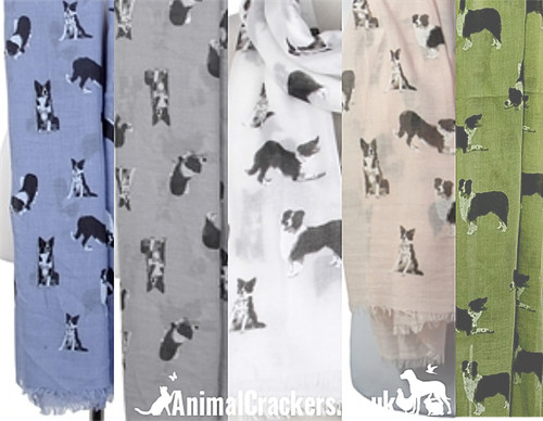 Sciarpa donna border - sciarpa,