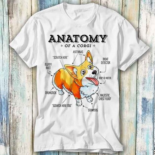 Shirt anatomy a corgi - t-shirt,