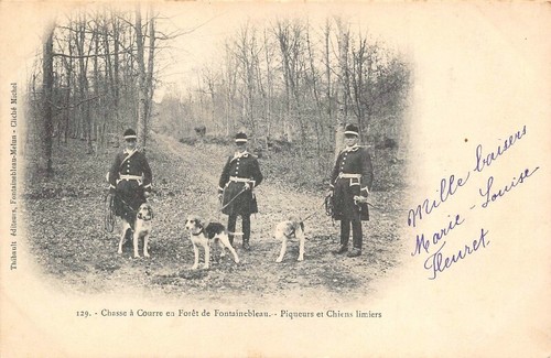 Chasse cour foresta di - chasse, a