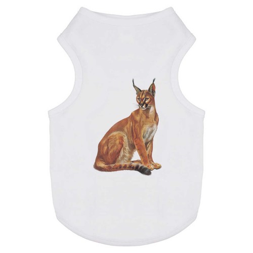 Maglietta per cani/gatti