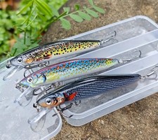 3 Esche minnow trout rigide