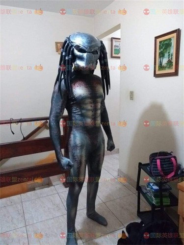 Costume body