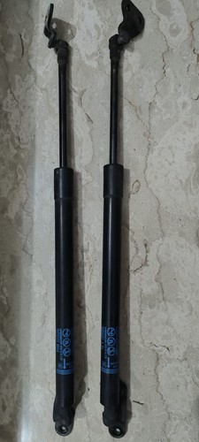 Pistoncini portellone